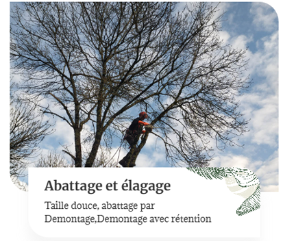 abatage