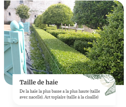 taille_dehaie